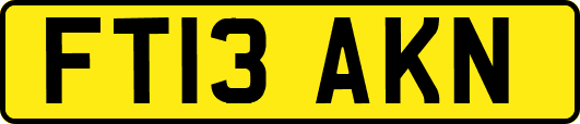 FT13AKN