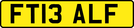 FT13ALF