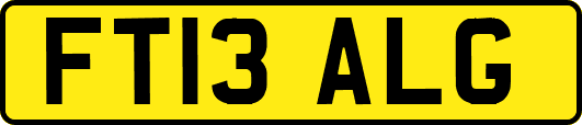 FT13ALG