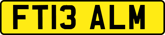 FT13ALM