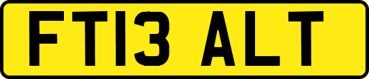 FT13ALT