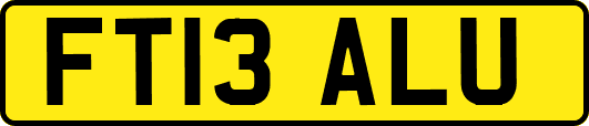 FT13ALU