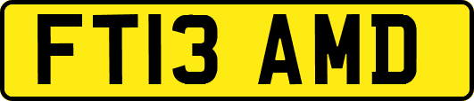 FT13AMD