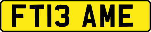 FT13AME