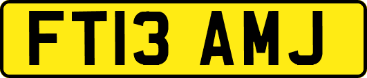 FT13AMJ