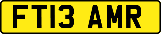 FT13AMR