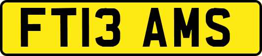 FT13AMS