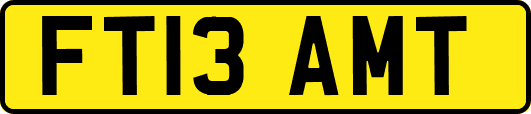 FT13AMT