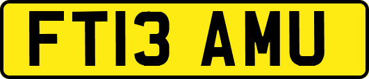 FT13AMU