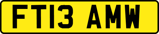 FT13AMW