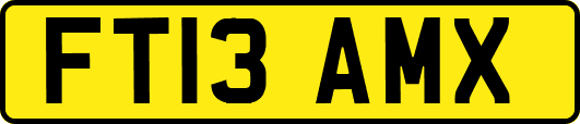 FT13AMX