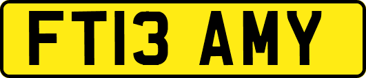 FT13AMY