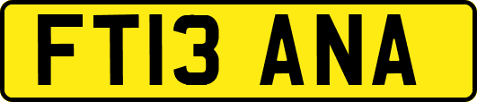 FT13ANA