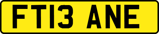 FT13ANE
