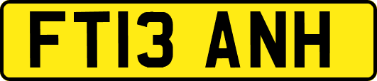 FT13ANH