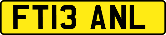 FT13ANL
