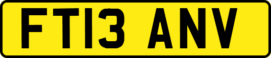 FT13ANV
