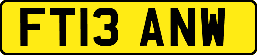FT13ANW