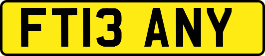 FT13ANY