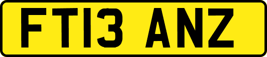 FT13ANZ