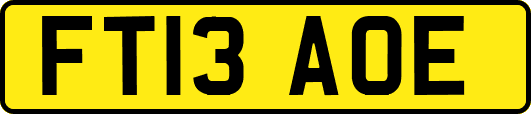 FT13AOE
