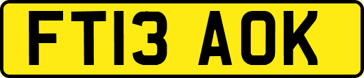 FT13AOK