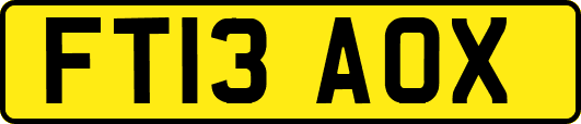 FT13AOX