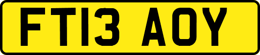 FT13AOY