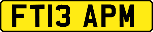 FT13APM
