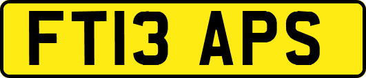 FT13APS