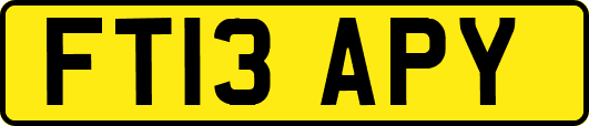 FT13APY