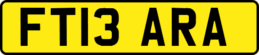 FT13ARA