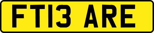 FT13ARE