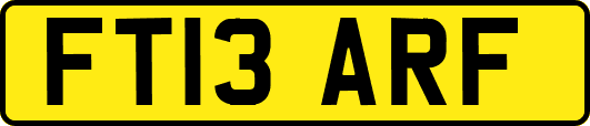 FT13ARF