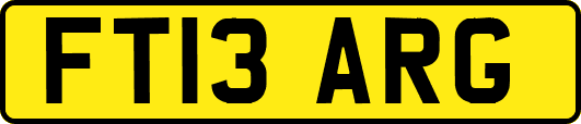 FT13ARG