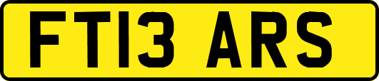 FT13ARS