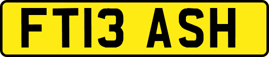 FT13ASH