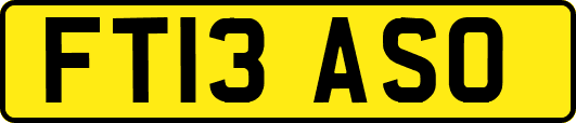 FT13ASO