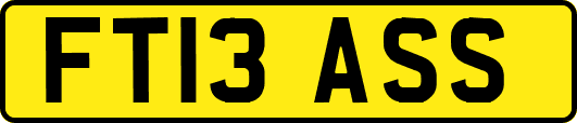 FT13ASS