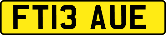 FT13AUE