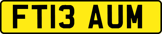 FT13AUM
