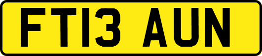 FT13AUN