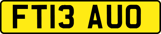 FT13AUO