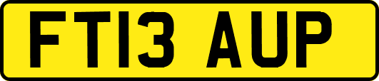 FT13AUP