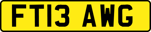 FT13AWG