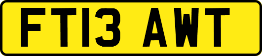 FT13AWT