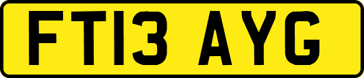 FT13AYG