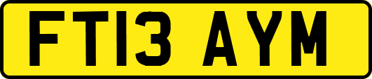 FT13AYM