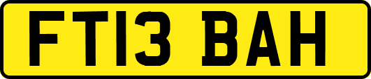 FT13BAH