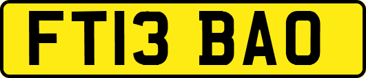 FT13BAO